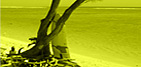 index.php?rub=Protection_of_ecosystems